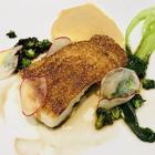 트렌디한 홋카이도신궁 코트도르 썸네일