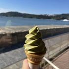 여행객 필수 매장 카페 베이랜드 썸네일