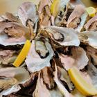 트렌디한 마쓰시마 하마야키 그릴 리큐 썸네일