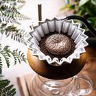 핫플로 유명한 센다이 호노카 커피 썸네일