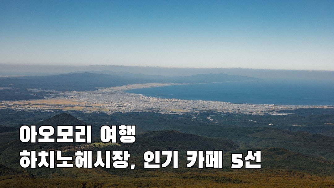 아오모리여행 하치노헤시장 소개자료