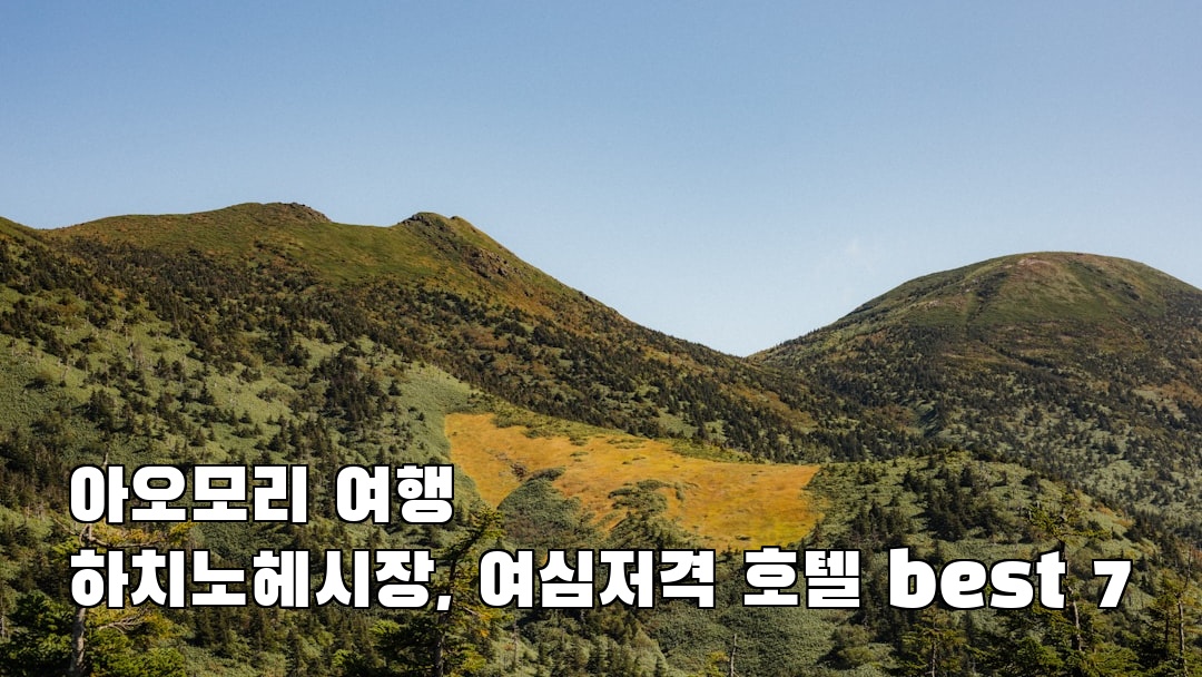 하치노헤시장 사전조사