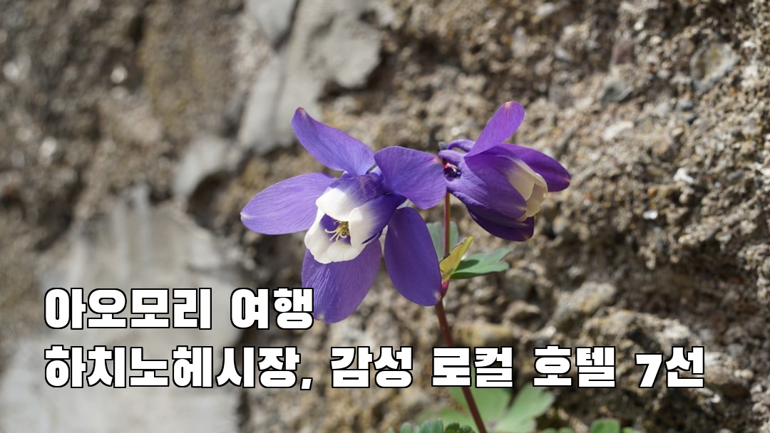 감성적인 하치노헤시장 친구랑여행