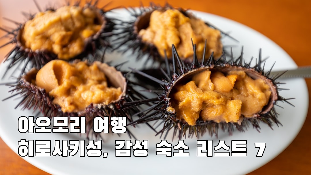 아오모리여행 히로사키성 소개자료