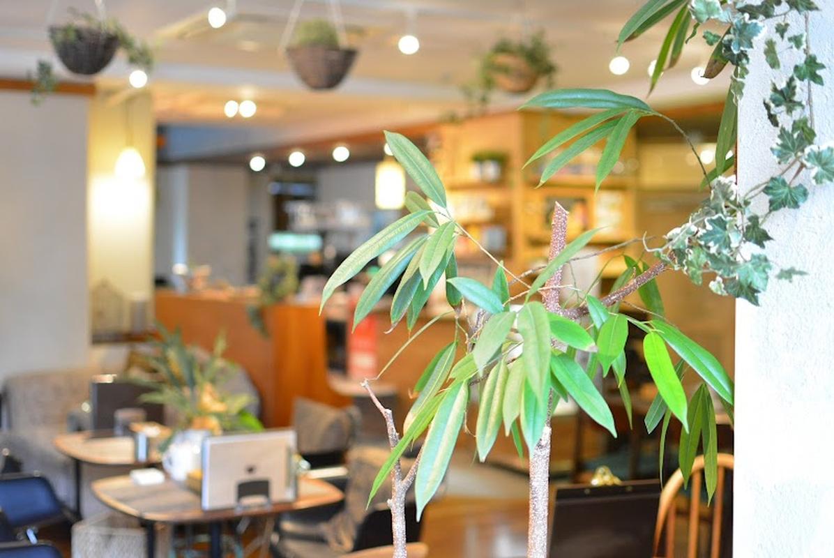 오사카 니시나카지마미나미가타 베지카페 플러스 알파 사진