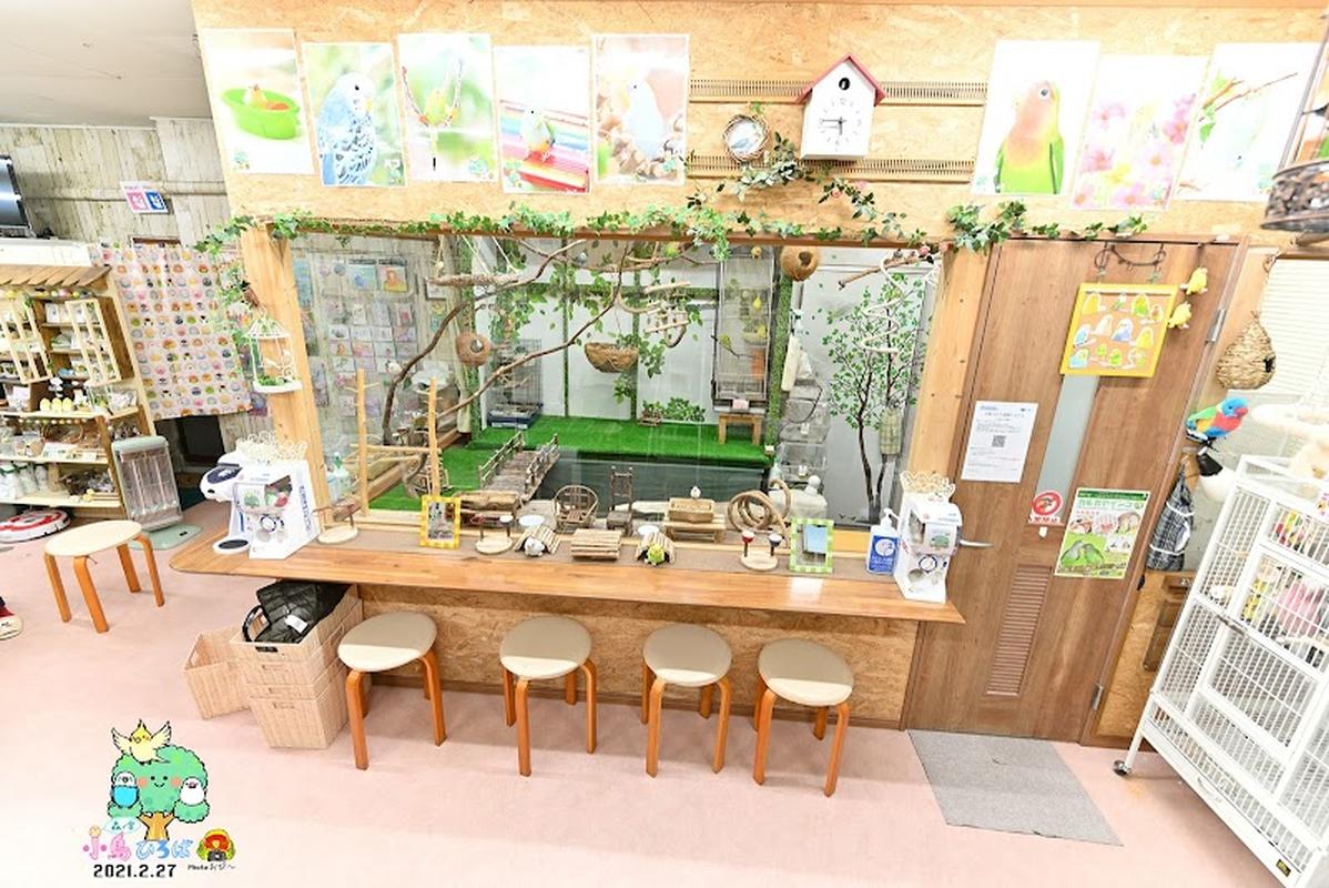 모리노미야 코토리 히로바, 오사카 여행 중 방문