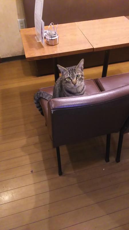 핫플로 유명한 쓰텐카쿠 타마이치