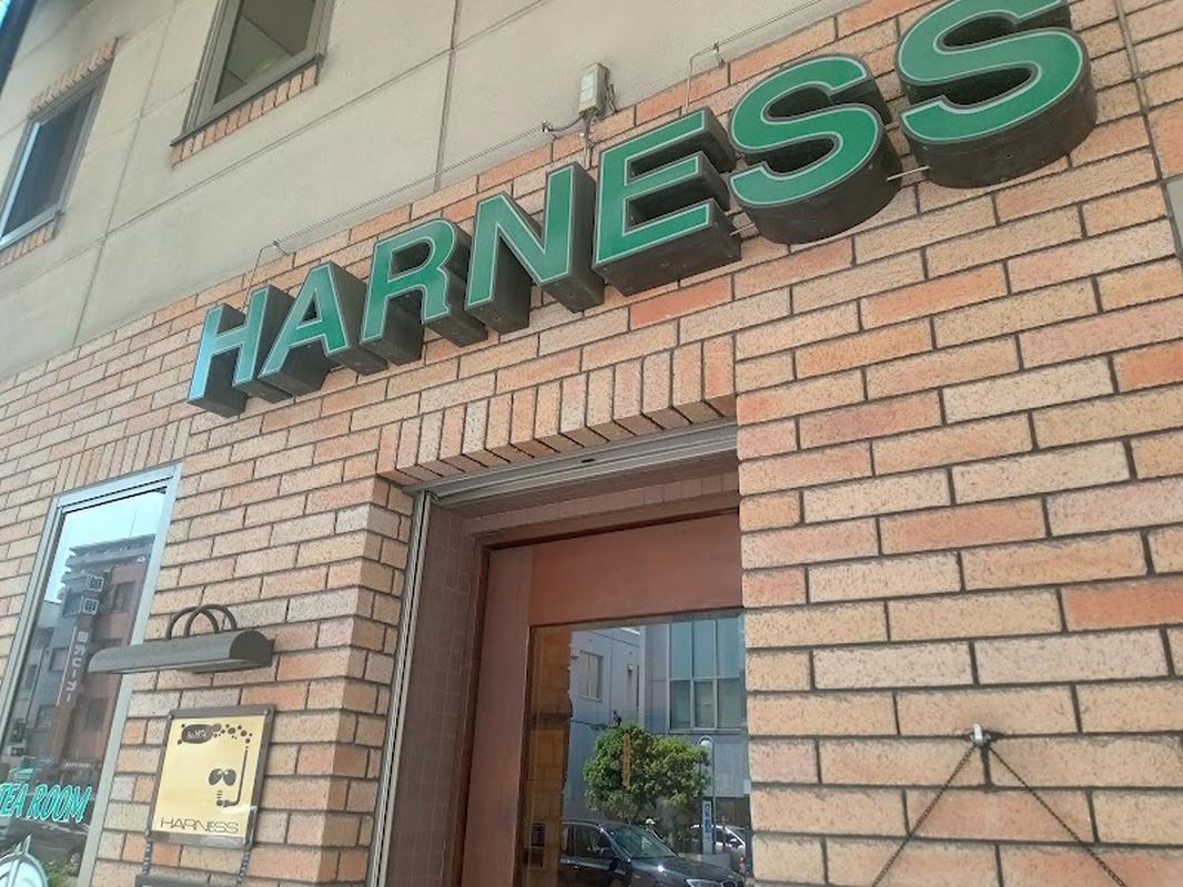 티룸 하네스, 오사카 여행 중 방문