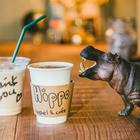 츠루하시 히포 호스텔 & 카페 바 사진 썸네일