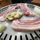 핫플로 유명한 오사카 돈돈 썸네일