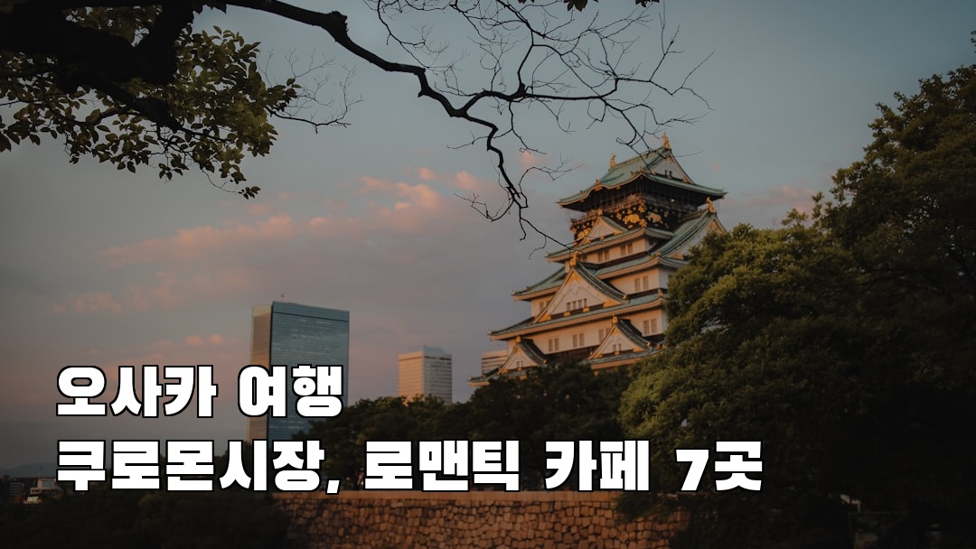 현지 느낌의 쿠로몬시장 혼자여행