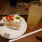 조용한 매장 프롬나드 카페 아베치카 썸네일