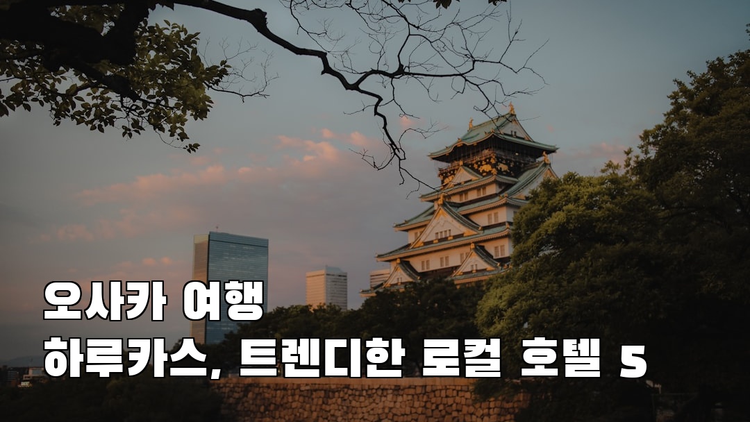 오사카여행 하루카스 친구랑여행