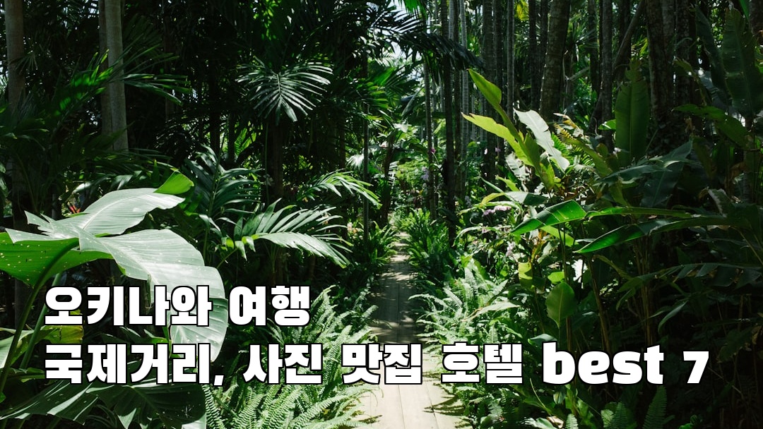 인스타 감성 국제거리 가볼만한곳