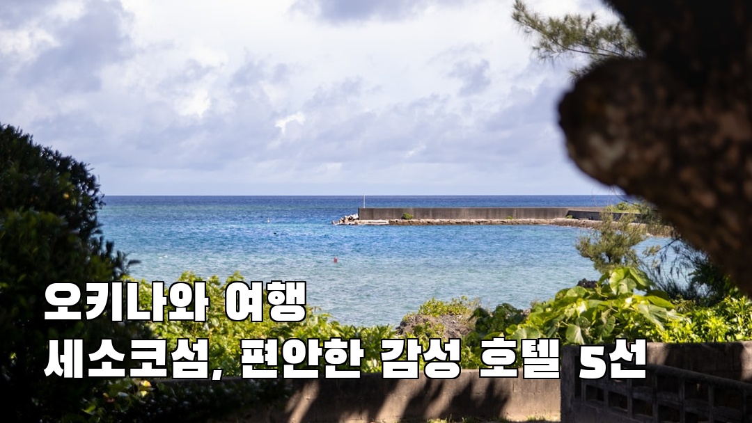 감성적인 세소코섬 소개자료