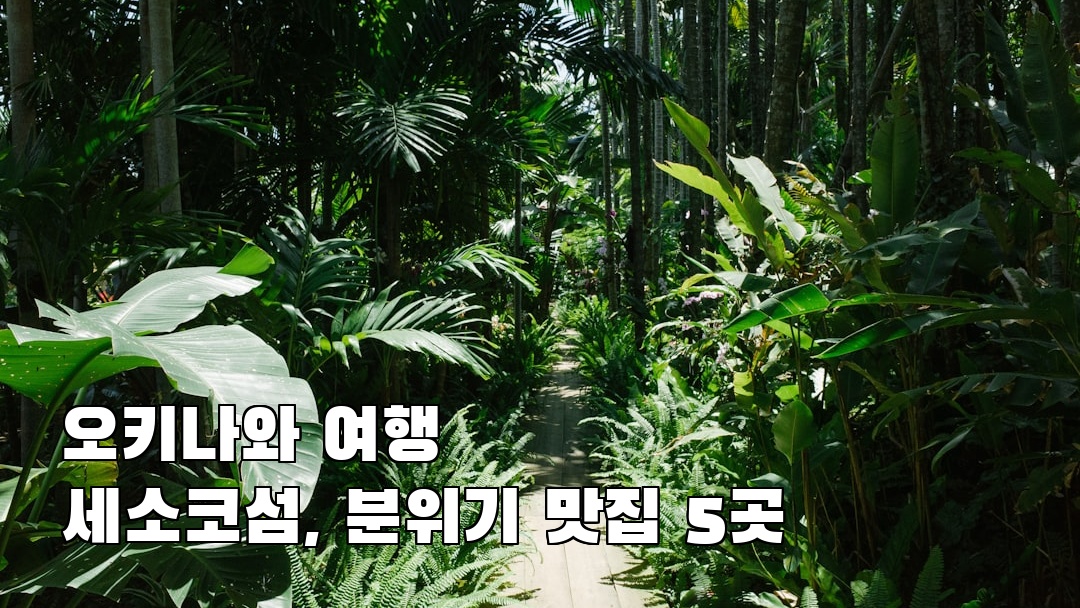 분위기 좋은 세소코섬 가볼만한곳