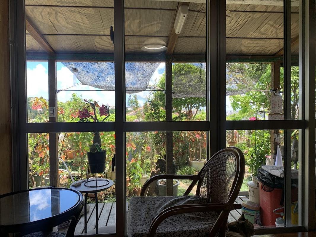 감성적인 매장 온네코