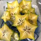 슈리성 슈리 이로하테이 사진 썸네일