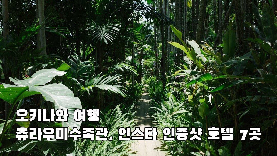 오키나와여행 츄라우미수족관 친구랑여행