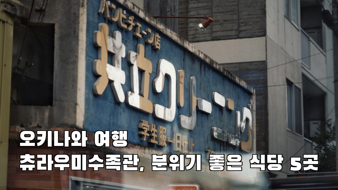 오키나와여행 츄라우미수족관 지역정보