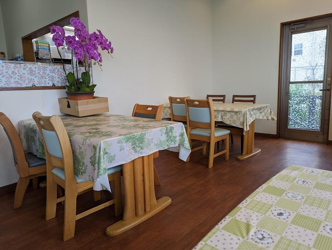 분위기 좋은 츄라우미수족관 라디시