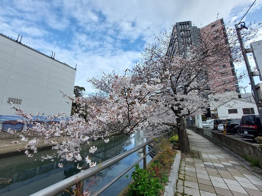 후쿠오카 나카스 코트 호텔 후쿠오카 텐진 사진