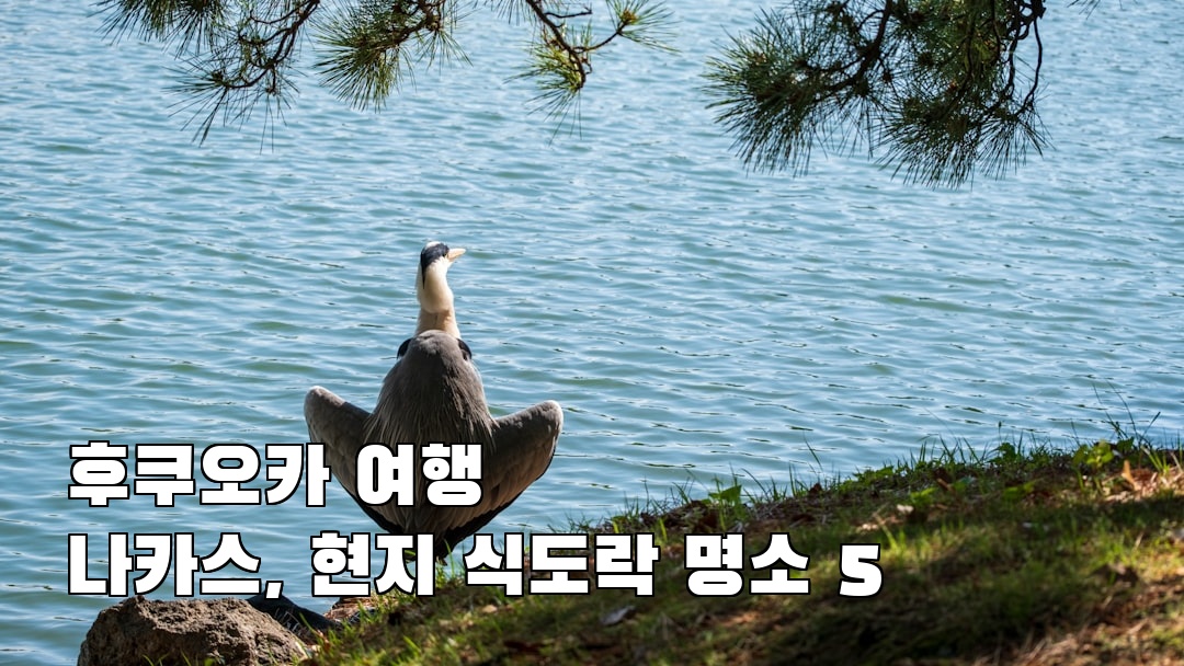 감성적인 후쿠오카여행 나카스 지역정보