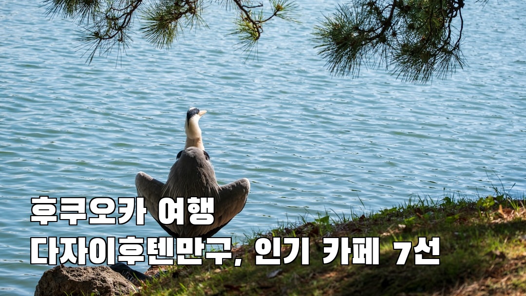 야경이 멋진 다자이후텐만구 여행안내