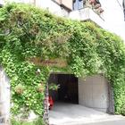 에쌍수 레스토랑, 후쿠오카 여행 중 방문 썸네일