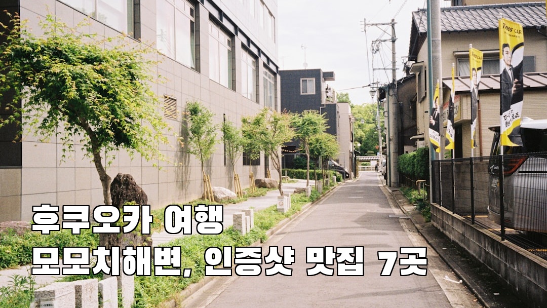 모모치해변 소개자료