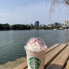 로컬 추천 매장 스타벅스 커피 - 후쿠오카 오호리 공원 썸네일