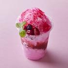 핫플로 유명한 매장 카페 아쿠암 썸네일