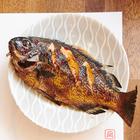 사카나 토 고한 나기 - 오호리공원 인기 스팟 썸네일