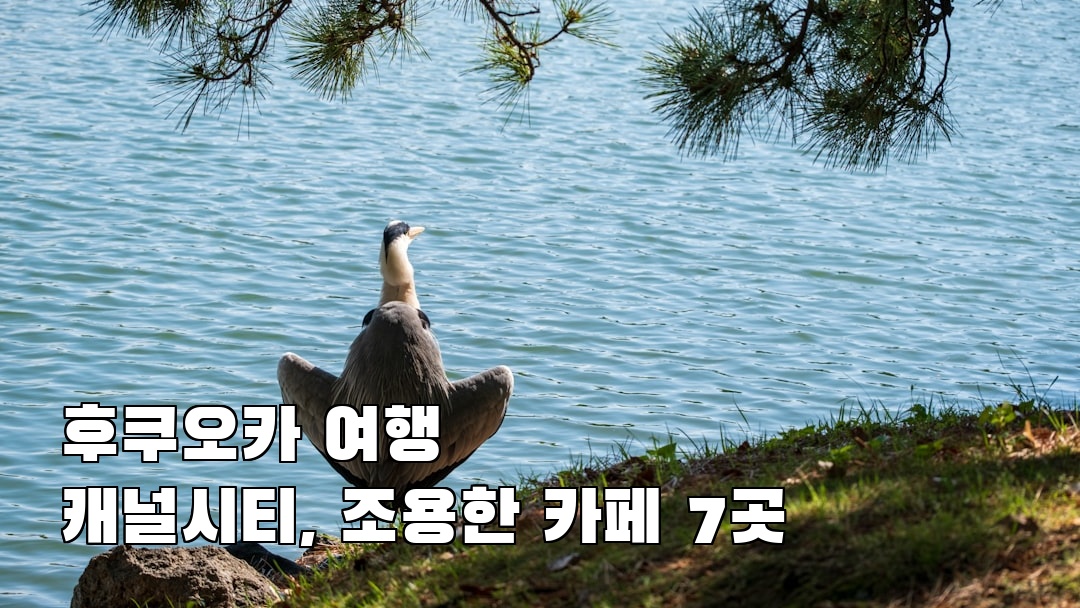 후쿠오카여행 캐널시티 여행안내