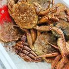 분위기 좋은 매장 이토카시 썸네일