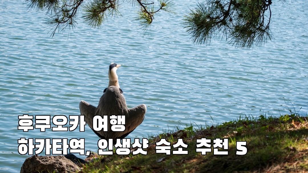 인스타 감성 후쿠오카여행 하카타역 가볼만한곳