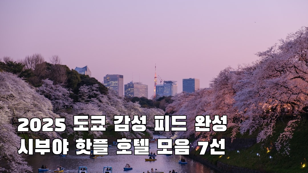 시부야 친구랑여행
