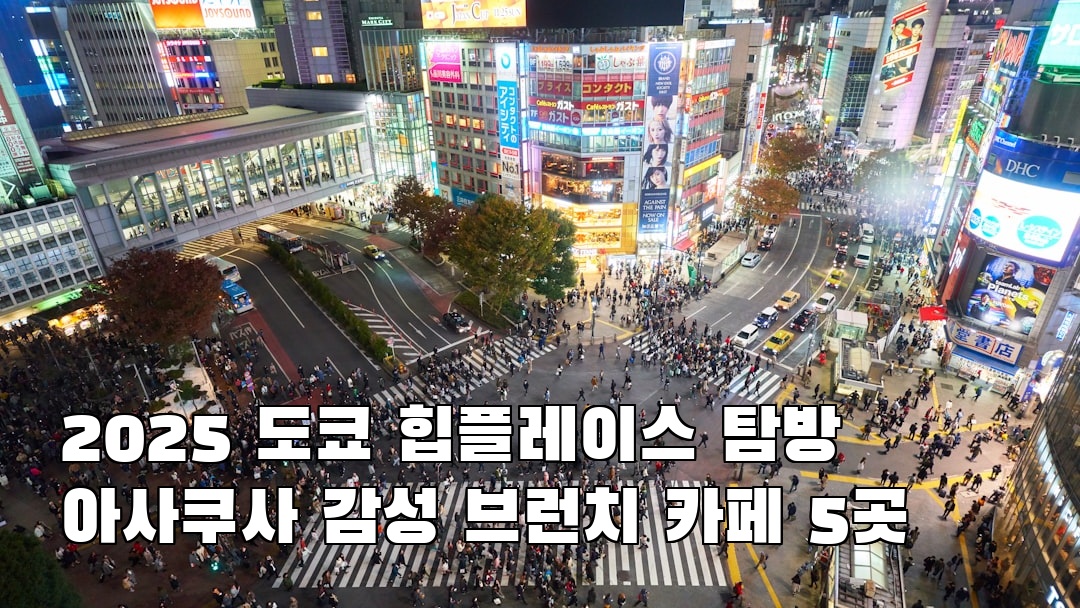 감성적인 아사쿠사 소개자료