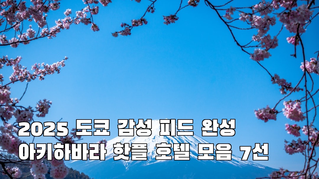 분위기 좋은 도쿄여행 아키하바라 여행안내