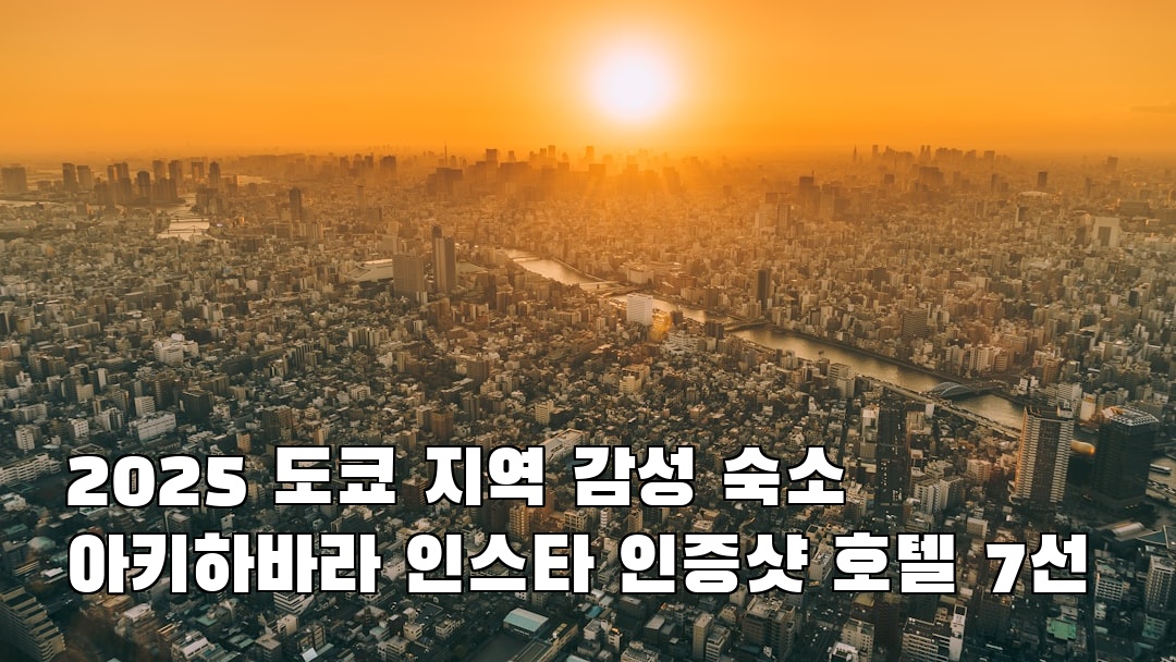 아키하바라 친구랑여행