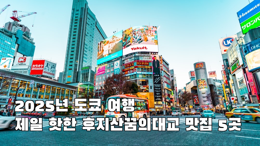 도쿄여행 후지산꿈의대교 지역정보