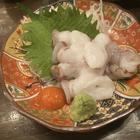 트렌디한 오사카 히구마 썸네일