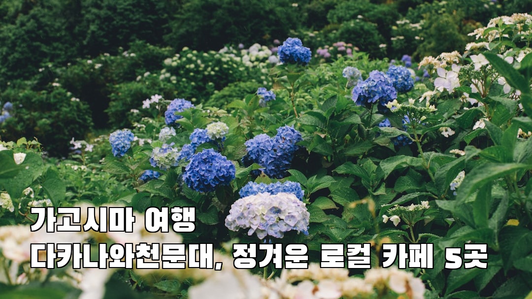 핫플 느낌의 가고시마여행 다카나와천문대 친구랑여행