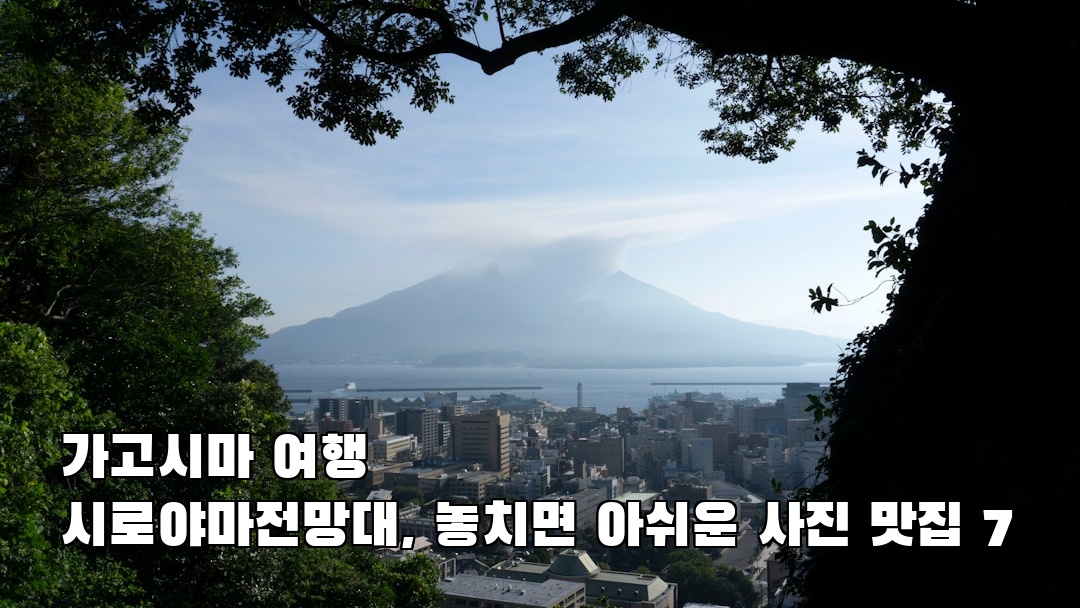 핫플 느낌의 가고시마여행 시로야마전망대 혼자여행