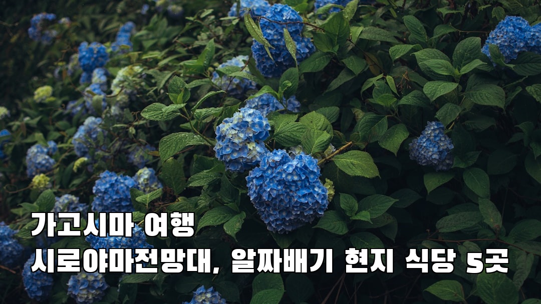 분위기 좋은 가고시마여행 시로야마전망대 지역정보
