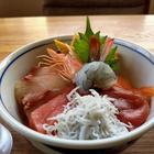 수리안 - 마쓰야마성 인기 스팟 썸네일