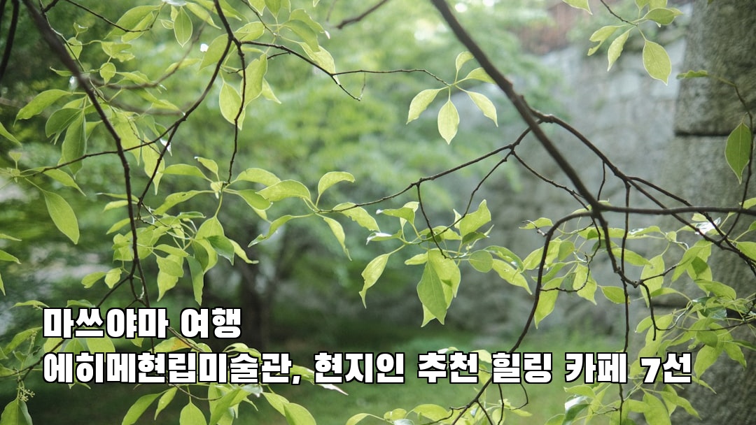 마쓰야마여행 에히메현립미술관 가볼만한곳