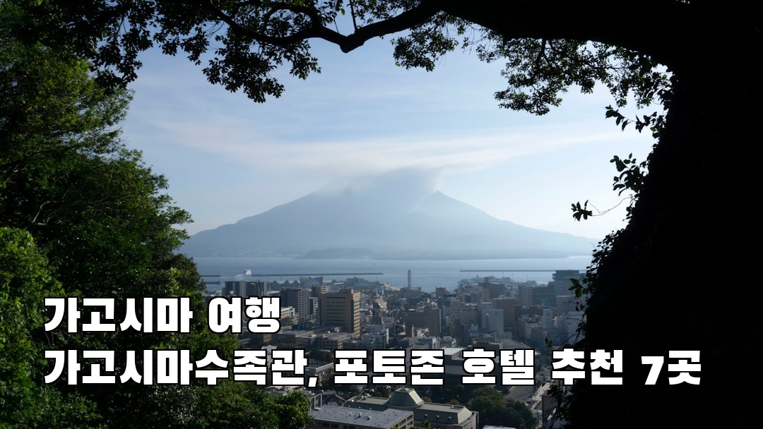 야경이 멋진 가고시마여행 가고시마수족관 현지정보